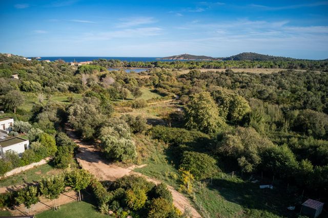 Maison à louer - 5 pièces - 200 m2 - Zonza - 201 - CORSE