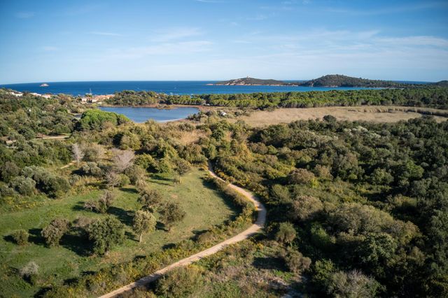 Maison à louer - 5 pièces - 200 m2 - Zonza - 201 - CORSE