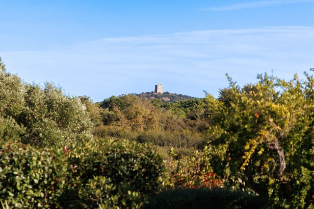 Maison à louer - 5 pièces - 200 m2 - Zonza - 201 - CORSE