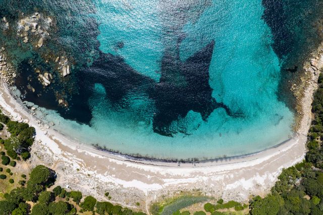 Maison à louer - 7 pièces - 300 m2 - Zonza - 201 - CORSE