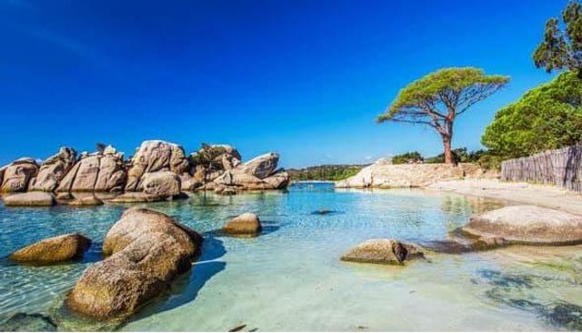 Maison à louer - 5 pièces - 200 m2 - Porto Vecchio - 201 - CORSE