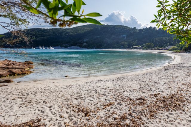 Maison à vendre - 10 pièces - 200 m2 - Sari Solenzara - 201 - CORSE