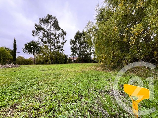 terrain - ST SULPICE LA POINTE - 81