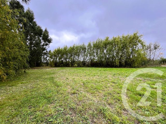 Terrain &agrave; vendre - 1005 m2 - St Sulpice La Pointe - 81 - MIDI-PYRENEES