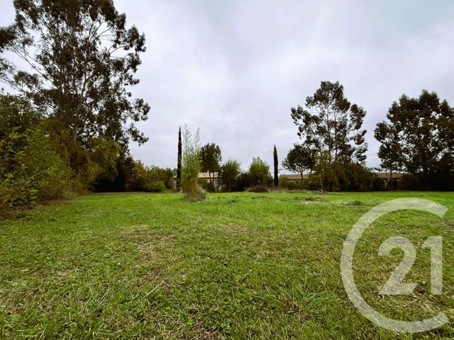 terrain - ST SULPICE LA POINTE - 81