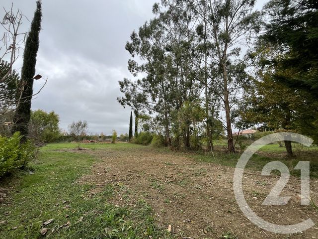Terrain &agrave; vendre - 1004 m2 - St Sulpice La Pointe - 81 - MIDI-PYRENEES
