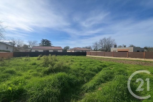 terrain - FLORENTIN - 81