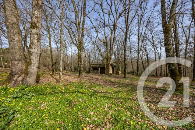 Maison &agrave; vendre - 6 pi&egrave;ces - 133 m2 - Lisle Sur Tarn - 81 - MIDI-PYRENEES