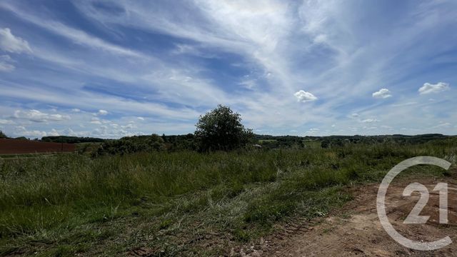 Maison &agrave; vendre - 6 pi&egrave;ces - 353,99 m2 - Denat - 81 - MIDI-PYRENEES