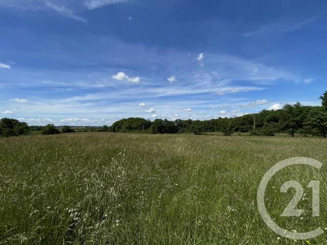 Maison &agrave; vendre - 6 pi&egrave;ces - 353,99 m2 - Denat - 81 - MIDI-PYRENEES