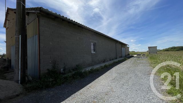 Maison &agrave; vendre - 6 pi&egrave;ces - 353,99 m2 - Denat - 81 - MIDI-PYRENEES
