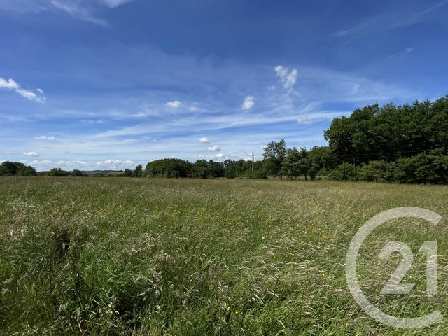 Maison &agrave; vendre - 6 pi&egrave;ces - 353,99 m2 - Denat - 81 - MIDI-PYRENEES