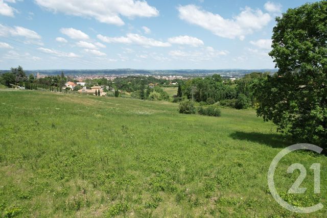 Terrain &agrave; vendre - 2502 m2 - Albi - 81 - MIDI-PYRENEES