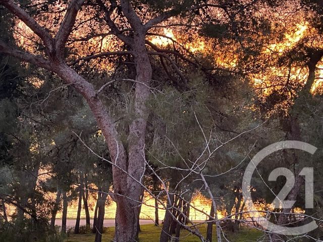 maison - MARTIGUES - 13