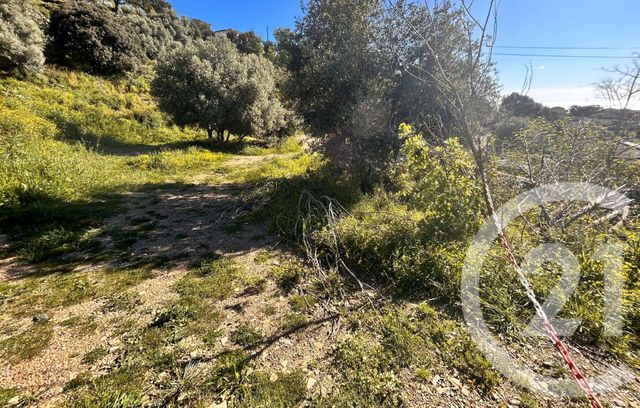 Terrain &agrave; vendre - 1145 m2 - Bastia - 202 - CORSE