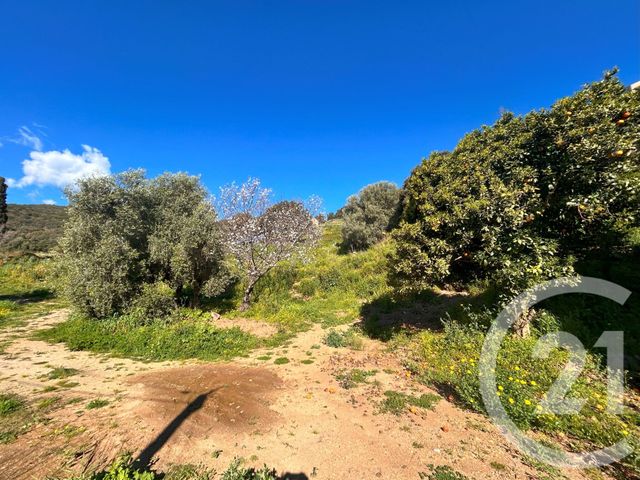 Terrain &agrave; vendre - 1145 m2 - Bastia - 202 - CORSE