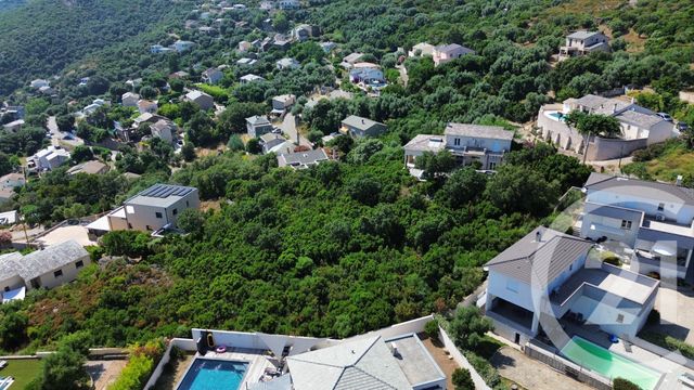 Terrain &agrave; vendre - 2792 m2 - Santa Maria Di Lota - 202 - CORSE