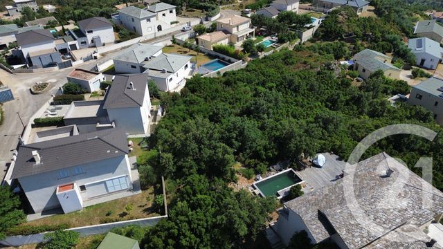 Terrain &agrave; vendre - 2792 m2 - Santa Maria Di Lota - 202 - CORSE