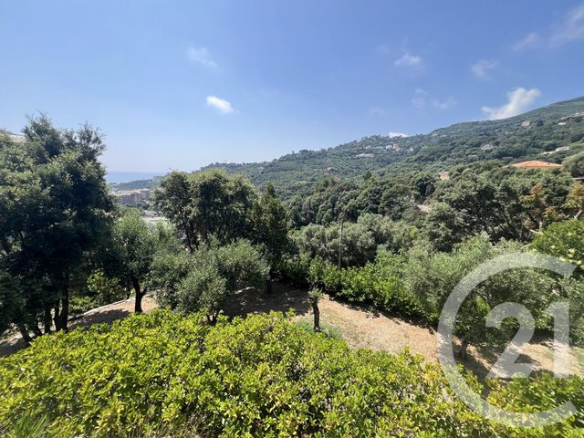 Maison à vendre - 6 pièces - 220 m2 - Ville Di Pietrabugno - 202 - CORSE