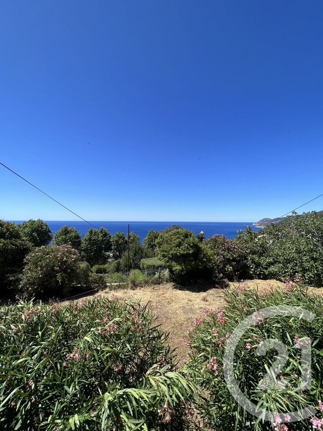 Maison à vendre - 9 pièces - 260 m2 - Pino - 202 - CORSE