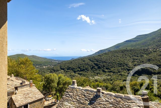 Maison &agrave; vendre - 9 pi&egrave;ces - 202 m2 - Sisco - 202 - CORSE