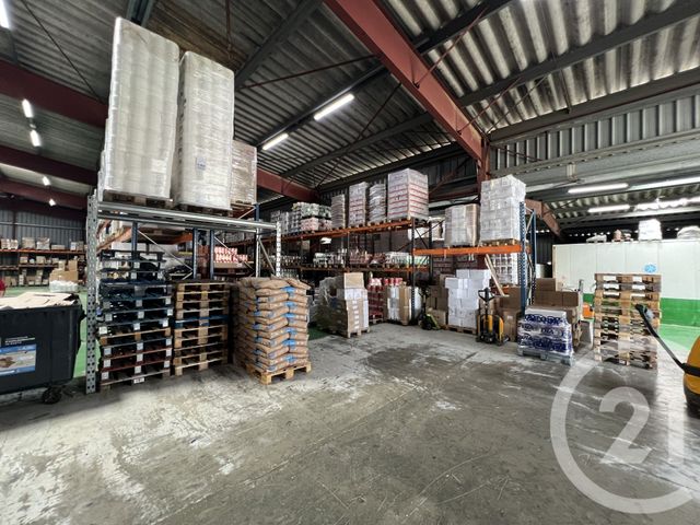 Divers &agrave; vendre - 1900 m2 - Furiani - 202 - CORSE