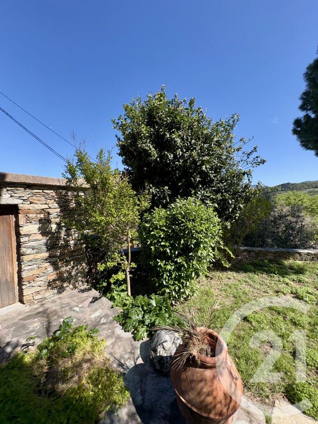 Maison &agrave; vendre - 3 pi&egrave;ces - 85 m2 - Santo Pietro Di Tenda - 202 - CORSE