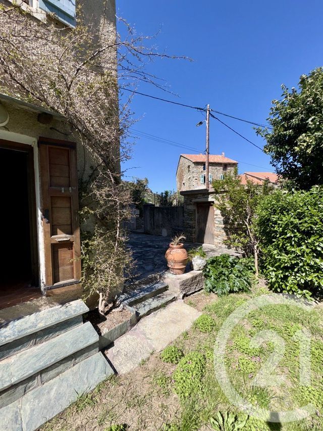 Maison &agrave; vendre - 3 pi&egrave;ces - 85 m2 - Santo Pietro Di Tenda - 202 - CORSE