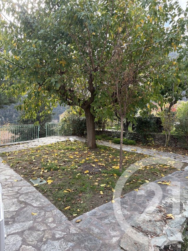 Maison &agrave; vendre - 3 pi&egrave;ces - 85 m2 - Santo Pietro Di Tenda - 202 - CORSE