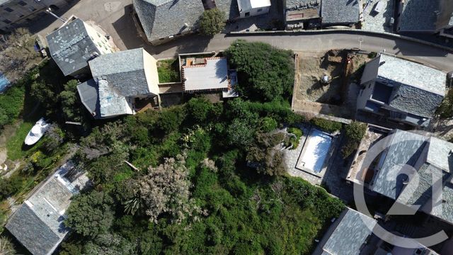 Terrain &agrave; vendre - 531 m2 - Centuri - 202 - CORSE