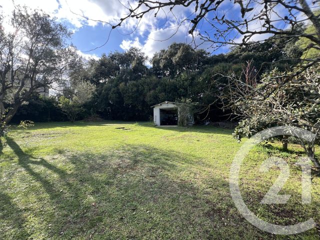 Maison à vendre - 7 pièces - 240 m2 - Vescovato - 202 - CORSE