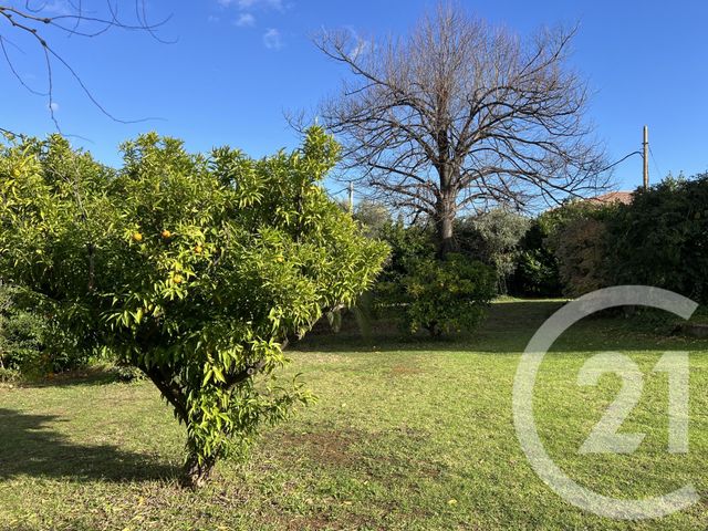 Maison à vendre - 7 pièces - 240 m2 - Vescovato - 202 - CORSE