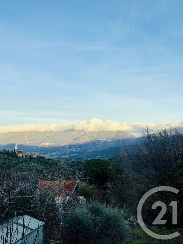 Appartement &agrave; vendre - 2 pi&egrave;ces - 29,86 m2 - Santo Pietro Di Tenda - 202 - CORSE