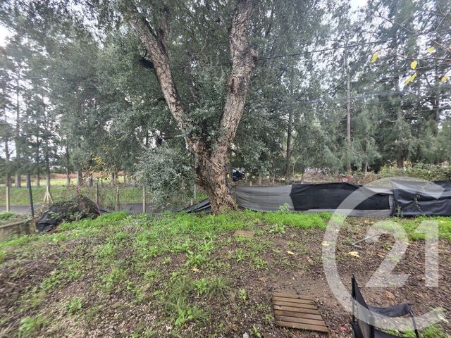 Maison &agrave; vendre - 4 pi&egrave;ces - 82 m2 - Lucciana - 202 - CORSE