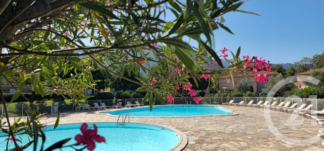 Appartement T3 &agrave; louer - 3 pi&egrave;ces - 49 m2 - Santa Maria Poggio - 202 - CORSE