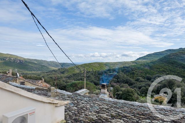 Maison &agrave; vendre - 6 pi&egrave;ces - 104 m2 - Pietracorbara - 202 - CORSE