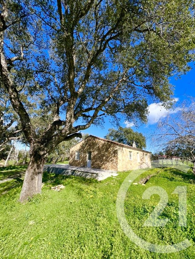 Maison &agrave; vendre - 5 pi&egrave;ces - 81,80 m2 - Aleria - 202 - CORSE