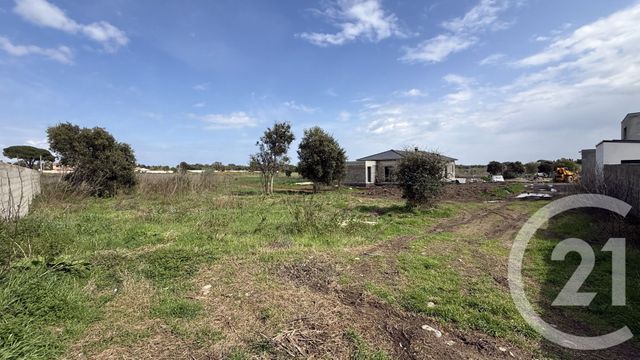 terrain - BORGO - 202