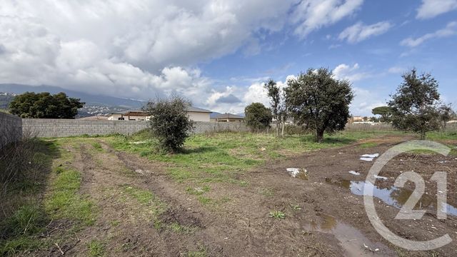 Terrain &agrave; vendre - 949 m2 - Borgo - 202 - CORSE