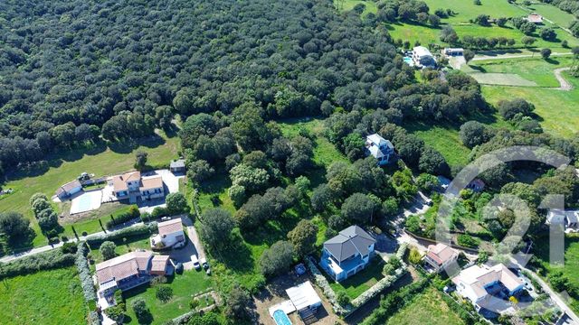 Terrain &agrave; vendre - 2629 m2 - Rogliano - 202 - CORSE