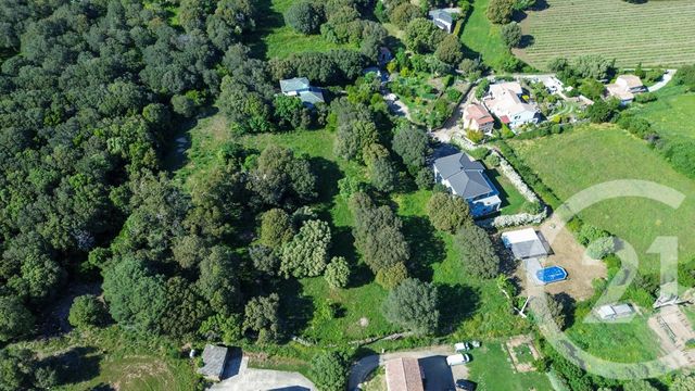 Terrain &agrave; vendre - 2629 m2 - Rogliano - 202 - CORSE