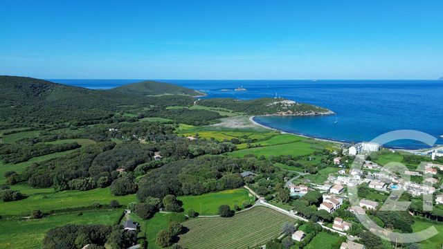 terrain - ROGLIANO - 202