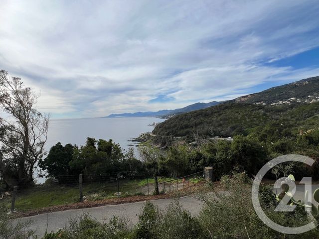 Terrain &agrave; vendre - 1079 m2 - Brando - 202 - CORSE