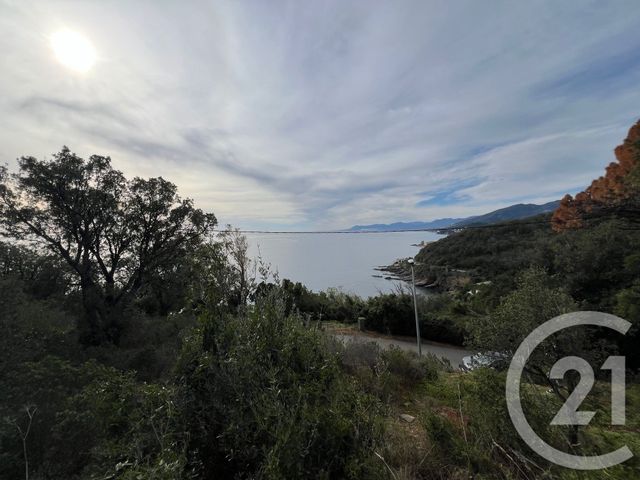 Terrain à vendre BRANDO