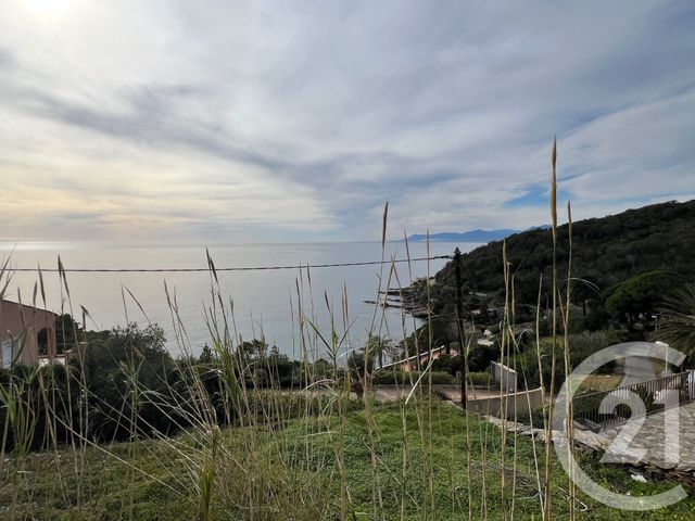 Terrain &agrave; vendre - 1079 m2 - Brando - 202 - CORSE