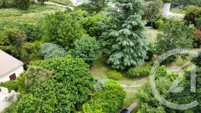 Maison &agrave; vendre - 4 pi&egrave;ces - 136 m2 - Vignale - 202 - CORSE