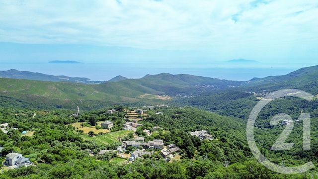 Maison &agrave; vendre - 10 pi&egrave;ces - 528 m2 - Sisco - 202 - CORSE