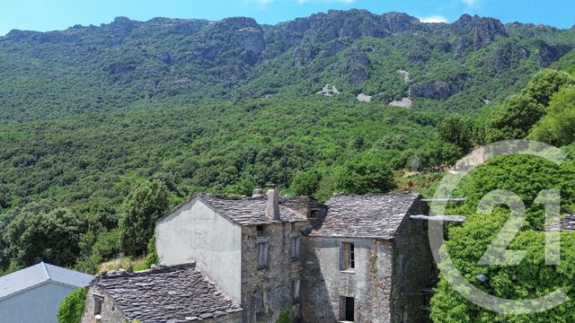 Maison &agrave; vendre - 10 pi&egrave;ces - 528 m2 - Sisco - 202 - CORSE