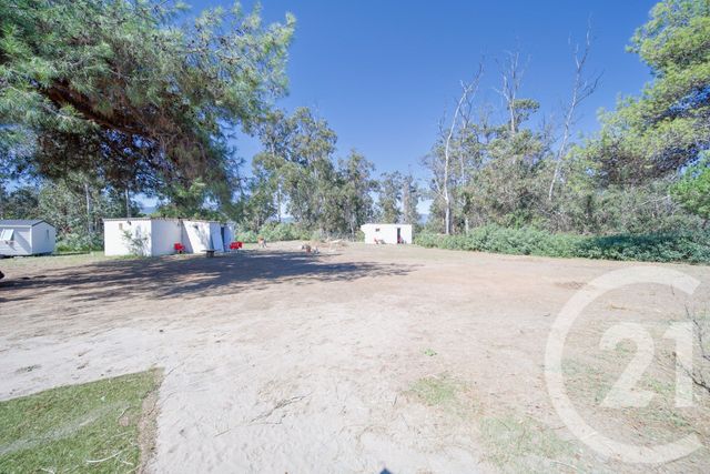 Maison &agrave; vendre - 6 pi&egrave;ces - 270 m2 - Sorbo Ocagnano - 202 - CORSE