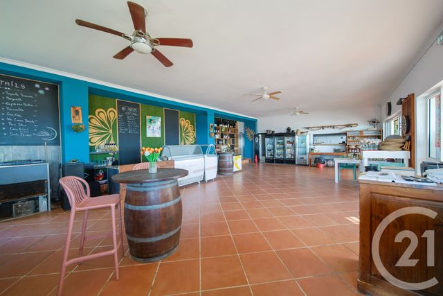 Maison &agrave; vendre - 6 pi&egrave;ces - 270 m2 - Sorbo Ocagnano - 202 - CORSE